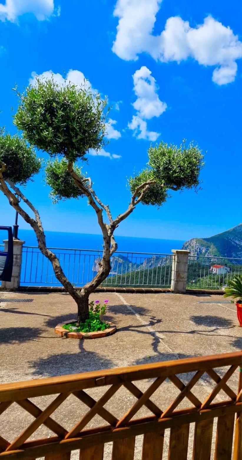 Casale I Tre Diamanti Apartment Massa Lubrense Exterior photo